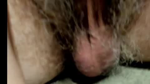 Snapshot of harry_banana chatting on February 1, 2025, 8:50 am harry_banana online show from February 1, 2025, 8:50 am