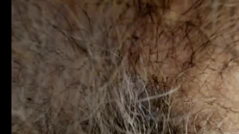 Snapshot of harry_banana chatting on February 21, 2025, 8:40 am harry_banana online show from February 21, 2025, 8:40 am