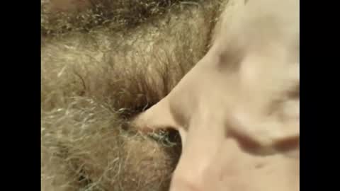 Snapshot of harry_banana chatting on November 30, 2025, 3:27 pm harry_banana online show from November 30, 2025, 3:27 pm