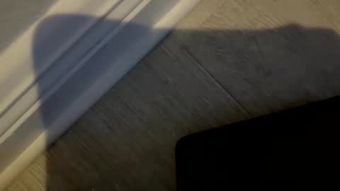 haufd online show from January 19, 2026, 3:54 am