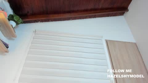 Snapshot of hazel_shy chatting on February 4, 2025, 2:17 am Im Hazel online show from February 4, 2025, 2:17 am