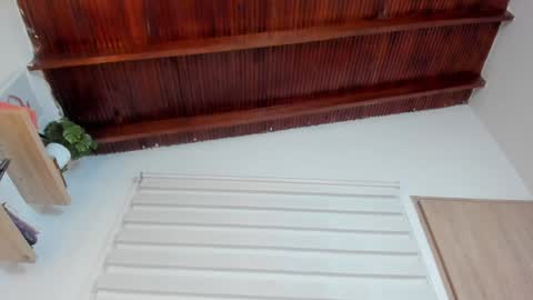 Snapshot of hazel_shy chatting on February 6, 2025, 9:49 pm Im Hazel online show from February 6, 2025, 9:49 pm