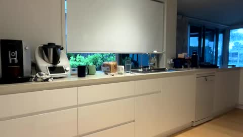 h babe online show from December 14, 2024, 7:14 pm