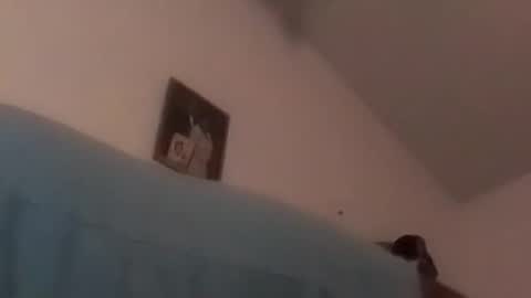 hbdj2164 online show from December 17, 2024, 10:34 am