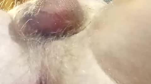 Snapshot of hcross2448 chatting on February 22, 2025, 3:01 am hcross2448 online show from February 22, 2025, 3:01 am