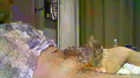 heddamedda59 online show from April 3, 2026, 4:16 pm