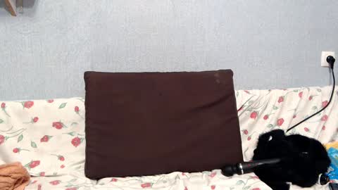 HelenRed online show from January 18, 2025, 4:10 pm