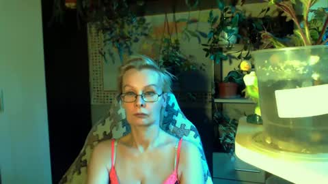Snapshot of helgahimmele chatting on May 8, 2026, 5:18 pm Helga online show from May 8, 2026, 5:18 pm
