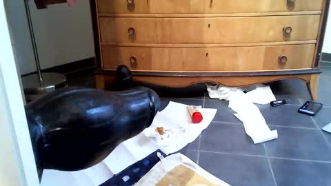 Snapshot of helisporty chatting on November 14, 2025, 8:13 am helisporty online show from November 14, 2025, 8:13 am