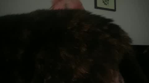 Snapshot of hell0kittyblood chatting on March 2, 2025, 2:32 pm Bunnie Rotz online show from March 2, 2025, 2:32 pm