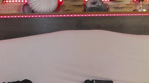 Snapshot of hellendesire chatting on February 22, 2025, 7:12 am online show from February 22, 2025, 7:12 am