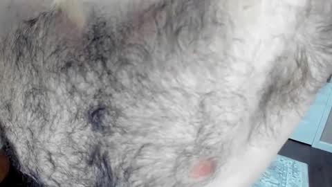 Snapshot of herewego42 chatting on January 25, 2025, 2:15 am Wade Biggs online show from January 25, 2025, 2:15 am