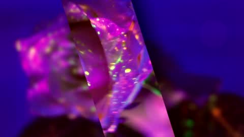 Alina online show from March 15, 2026, 5:08 pm