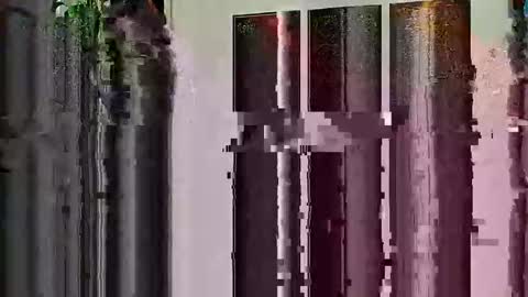 Snapshot of highandhell chatting on February 19, 2026, 12:50 am Highandhell online show from February 19, 2026, 12:50 am