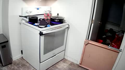 Highnesscali37 online show from December 31, 2024, 4:27 am