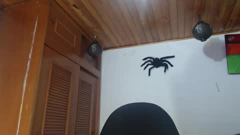 Snapshot of hilari18 chatting on October 28, 2025, 12:47 am hilaril18 online show from October 28, 2025, 12:47 am