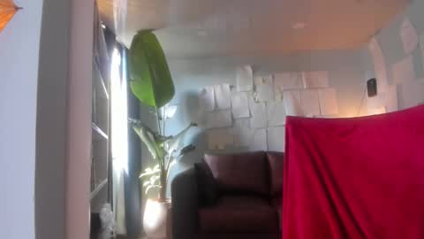 Hinnata online show from February 21, 2026, 7:04 pm