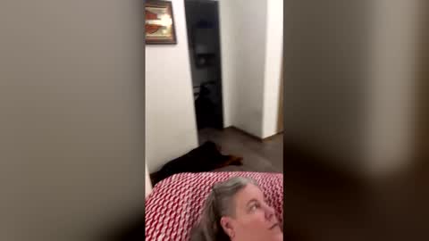 hippysnewhere online show from April 23, 2026, 4:14 am