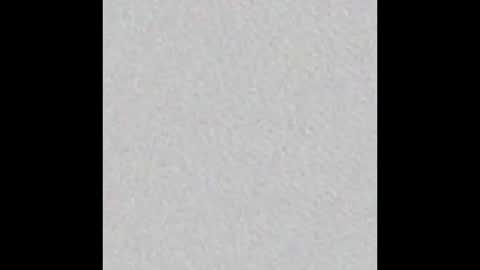 hofnung online show from February 14, 2026, 2:08 am