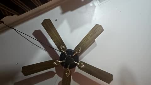 hoglegg99384194 online show from January 13, 2025, 6:27 am