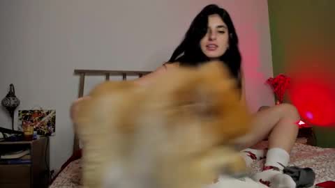 hollyshit_ online show from December 24, 2024, 3:49 am