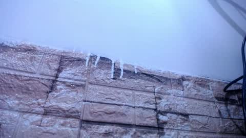 Victoria online show from April 4, 2026, 8:34 am