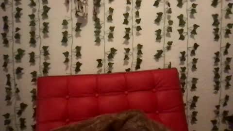 Snapshot of honeyy_89 chatting on November 28, 2025, 4:37 am honeyyy89 online show from November 28, 2025, 4:37 am