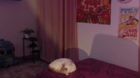    online show from December 11, 2024, 12:12 am