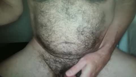 Snapshot of horcon69 chatting on November 19, 2025, 2:17 pm horcon69 online show from November 19, 2025, 2:17 pm