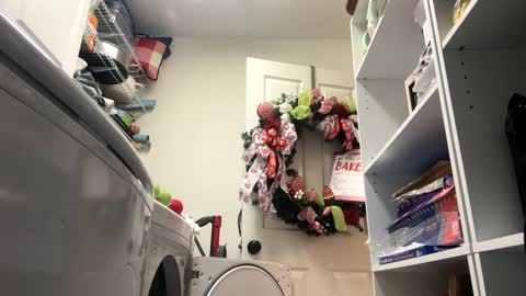 hornieecum online show from January 20, 2025, 11:24 am