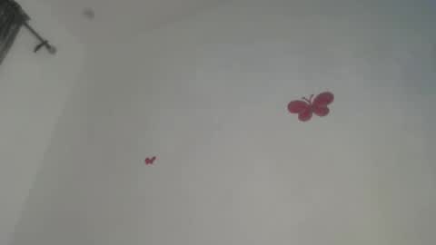 Iris online show from November 20, 2025, 8:08 pm