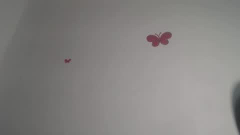 Iris online show from November 30, 2025, 7:40 pm