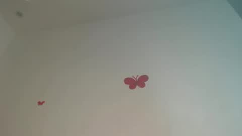 Iris online show from April 2, 2026, 7:55 pm