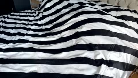 Snapshot of hornyasscouple1009 chatting on January 17, 2026, 11:37 am hornyasscouple1009 online show from January 17, 2026, 11:37 am