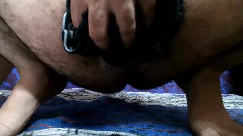 Hornyboy online show from November 14, 2025, 7:51 am