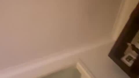 hornyonelooking1 online show from December 1, 2025, 12:32 pm