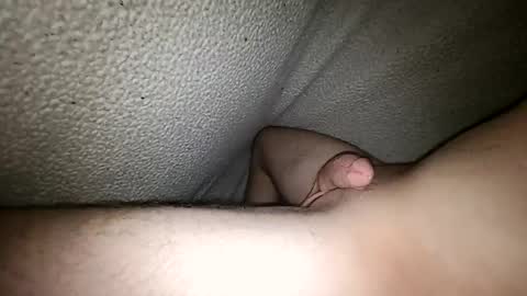 Snapshot of horsecock9748 chatting on December 30, 2024, 9:08 pm horsecock9748 online show from December 30, 2024, 9:08 pm