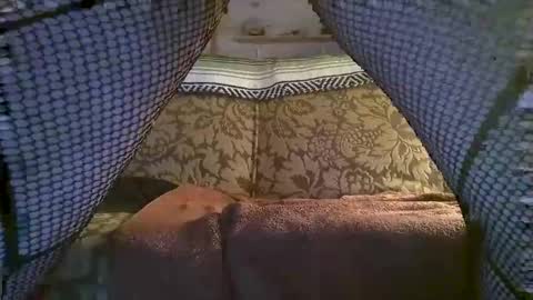 hot2nite22 online show from February 10, 2026, 10:19 am