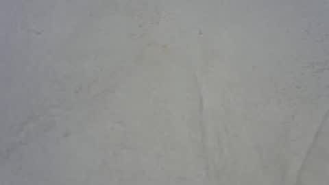 hot4lunch57 online show from December 2, 2024, 6:54 pm