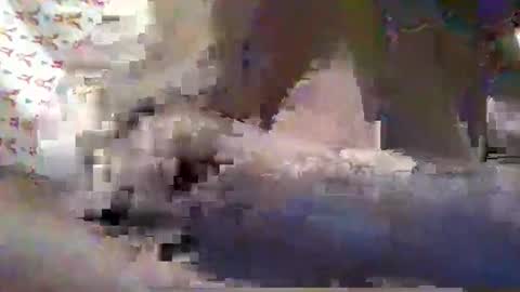 ALLYN online show from October 2, 2025, 8:05 pm