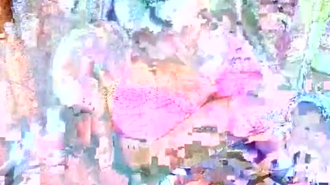 Snapshot of hot_baby_priya chatting on October 12, 2025, 4:50 pm hot_baby_priya online show from October 12, 2025, 4:50 pm