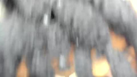 Snapshot of hot_moxie chatting on November 15, 2025, 4:43 am hot_moxie online show from November 15, 2025, 4:43 am