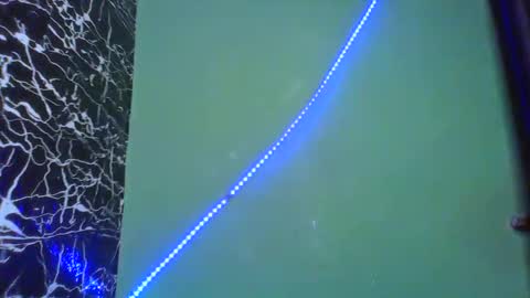 Stella online show from February 14, 2025, 8:52 am