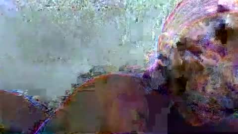 hotagrace online show from February 14, 2026, 7:16 am