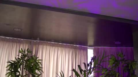 Anais online show from October 27, 2025, 9:57 am