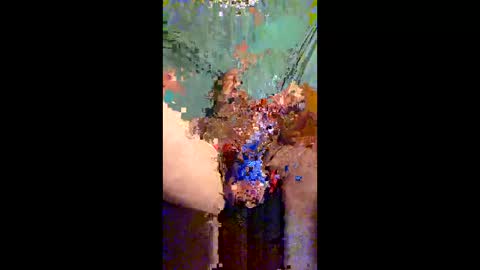 Snapshot of hotcockyspunkers chatting on May 19, 2026, 10:43 am Hot spunkers and cream online show from May 19, 2026, 10:43 am