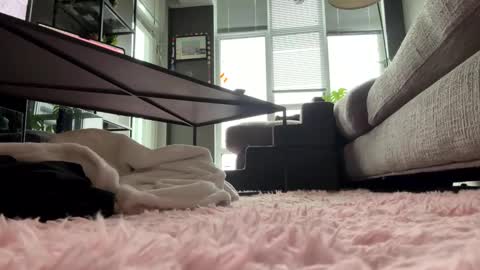 Snapshot of hotgirlbigbutt chatting on May 23, 2026, 11:47 am hotgirlbigbutt online show from May 23, 2026, 11:47 am