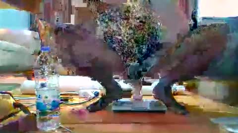 Snapshot of hothot1505 chatting on December 17, 2025, 6:03 pm hothot1505 online show from December 17, 2025, 6:03 pm