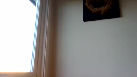 hototo2 online show from November 25, 2025, 11:32 am