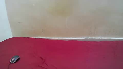 hotpussy1225 online show from November 10, 2025, 8:13 am